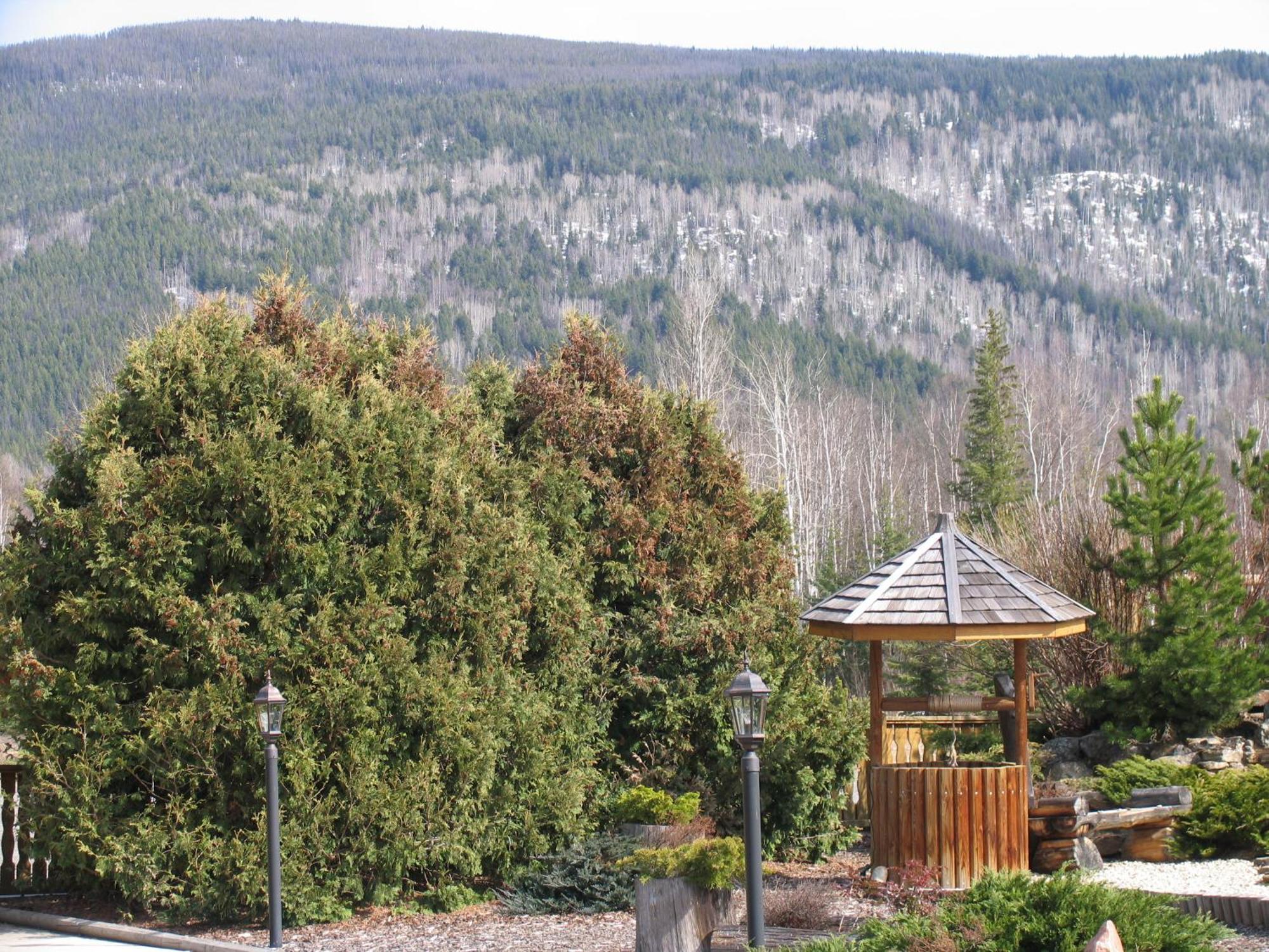 Blue Grouse Country Inn Clearwater Exterior photo